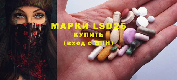 ПСИЛОЦИБИНОВЫЕ ГРИБЫ Алзамай